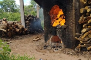Incineração 