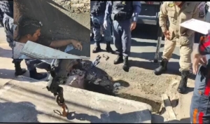 Criminoso mata motociclista durante fuga e morre dentro de bueiro tentando se esconder