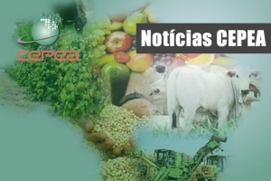 Estão disponíveis as agromensais de janeiro/2023