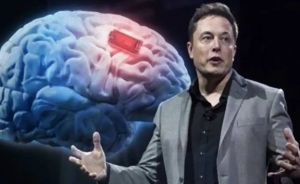 Empresa de Musk está autorizada a testar chips cerebrais em humanos