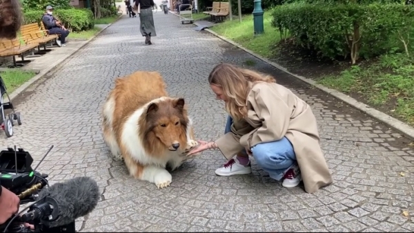 Homem que gastou R$ 70 mil para ‘ser um cachorro’ faz seu primeiro passeio nas ruas