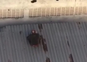 Ladrão tenta fugir e acaba entalado em telhado; veja vídeo