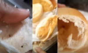 Mulher é morta a facadas depois de briga por carrapato no pão