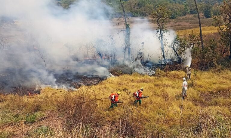 Bombeiros de MT combatem em 24h mais de dez incêndios florestais; Nortão registra maior número