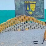 Cão farejador localiza malas com R$ 5,5 milhões em drogas dentro de caminhão em MT