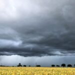 GT do El Niño entrega relatório final ao ministro André de Paula – MAIS SOJA