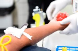 Nova regra permite que pessoas acima de 70 anos doem sangue no Brasil