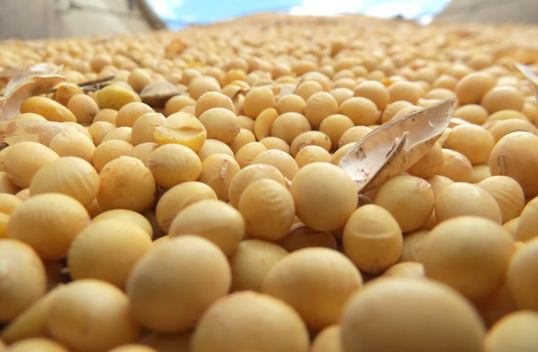 Soja disponível em Mato Grosso sobe 1,6%