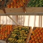 O que impede o brasileiro de consumir mais frutas, flores e hortaliças?