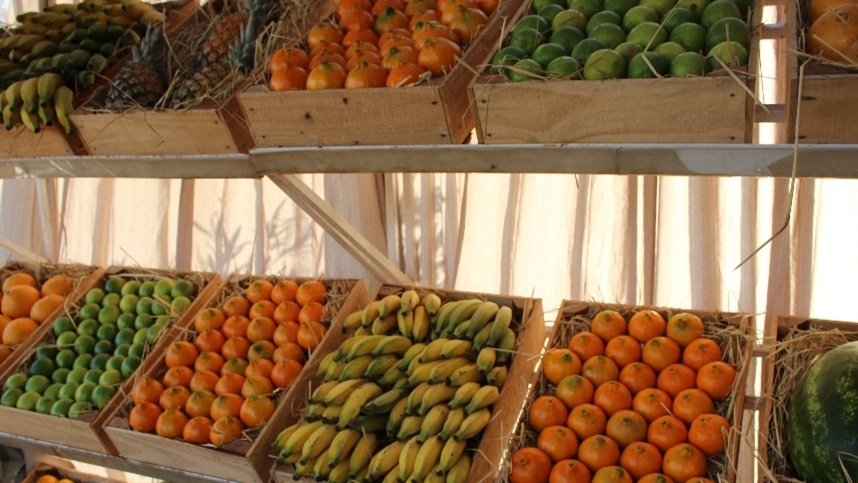 O que impede o brasileiro de consumir mais frutas, flores e hortaliças?