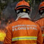 Corpo de Bombeiros combate três incêndios florestais nesta segunda-feira (12)