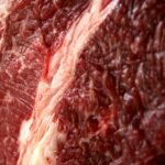 Comitiva chinesa conhece produção sustentável do Pará