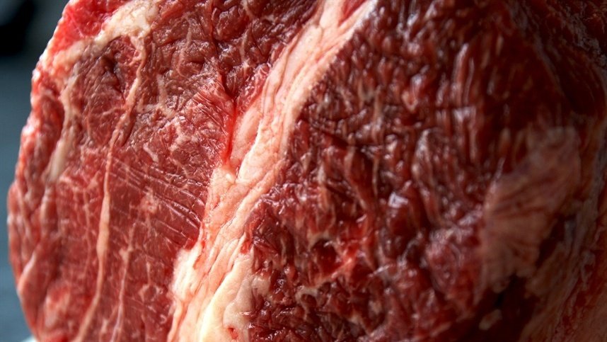 Comitiva chinesa conhece produção sustentável do Pará
