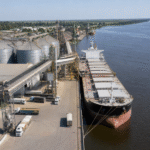 Anec reduz projeção de exportação de soja do Brasil em setembro