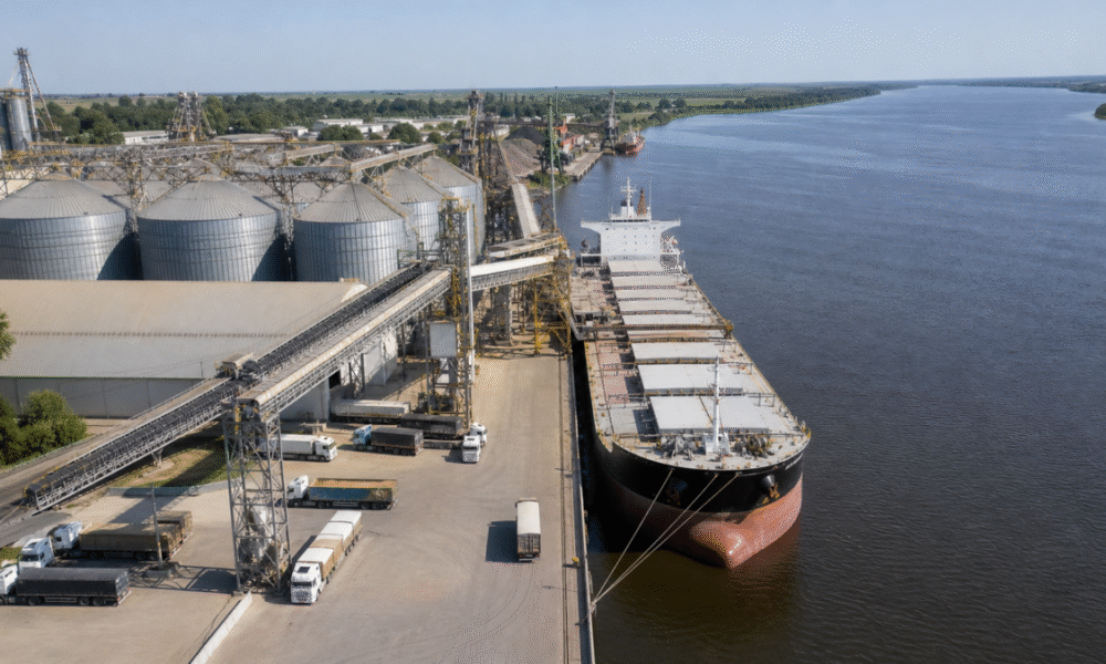 Anec reduz projeção de exportação de soja do Brasil em setembro