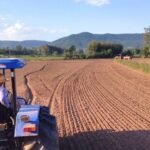 Semeadura do arroz irrigado alcance um terço da área no RS sob impacto das chuvas – MAIS SOJA