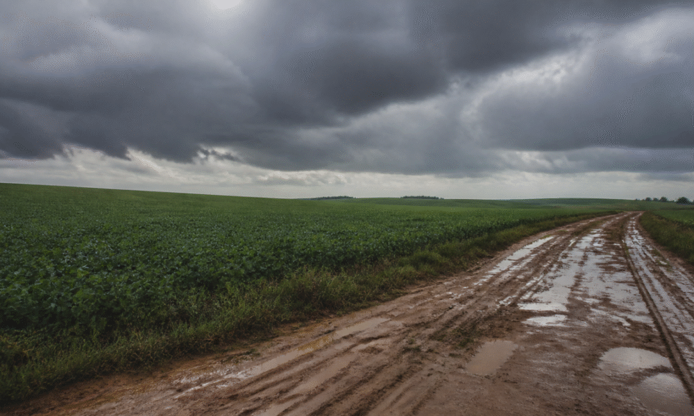 Chuva pode chegar a 112 mm em 24 horas em Santa Helena