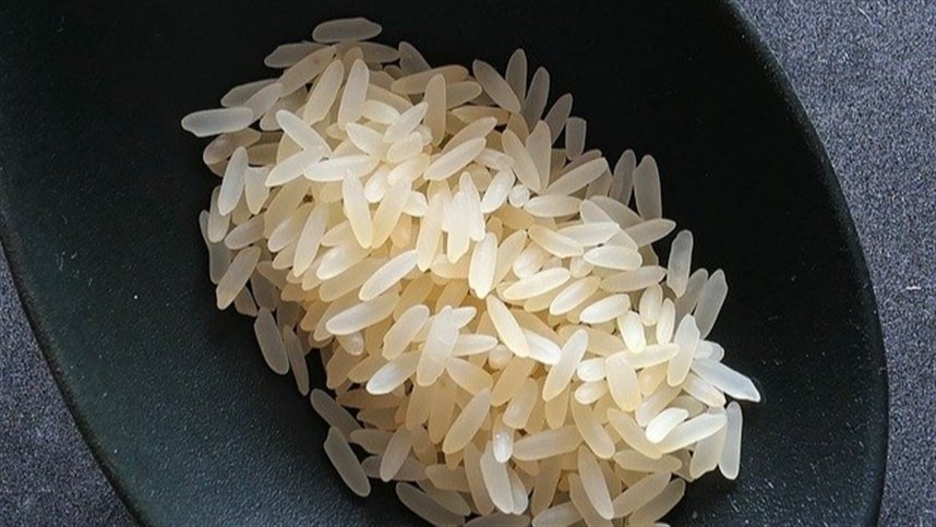 Plantio de arroz enfrenta dificuldades após período chuvoso