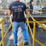 Polícia Civil incinera quase 220 quilos de entorpecentes apreendidos