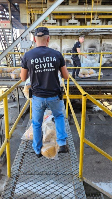 Polícia Civil incinera quase 220 quilos de entorpecentes apreendidos