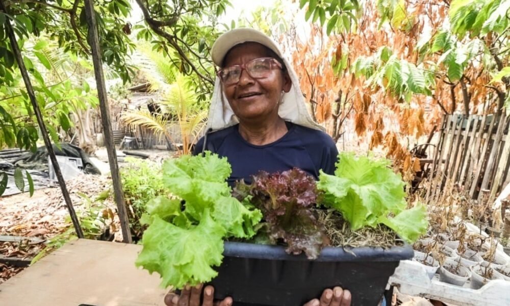 Universidade faz programação ‘Amazônia Delas’ e foca em inovação e empreendedorismo feminino