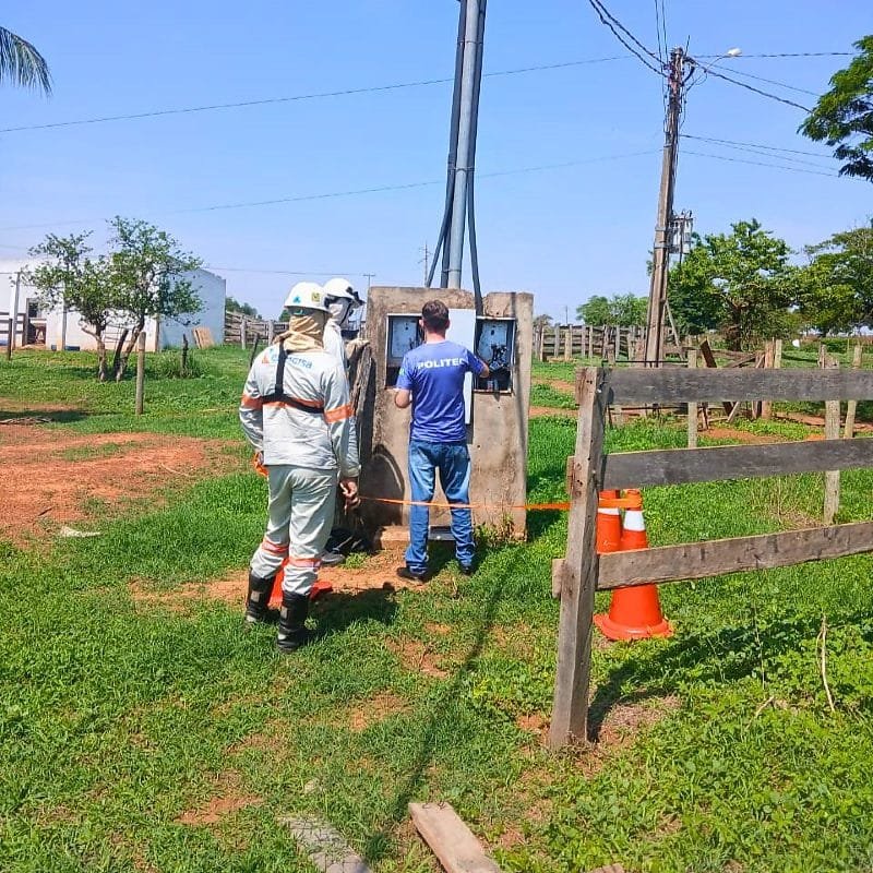 Operação flagra 'gato' de energia elétrica em haras e uma pessoa é presa em flagrante pela PC