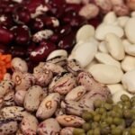 Escolha da cultivar de feijão pode reduzir riscos e melhorar a rentabilidade