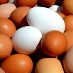 Produção de ovos chega a 128,5 milhões de dúzias no semestre em Goiás
