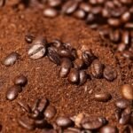 Secador de café: como ajustar a temperatura e evitar danos aos grãos