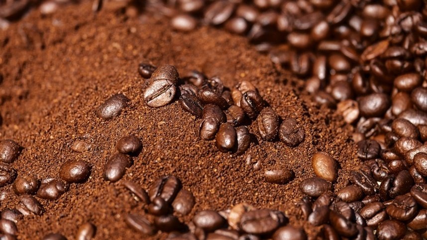 Secador de café: como ajustar a temperatura e evitar danos aos grãos
