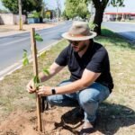 Cuiabá supera marca de mil árvores plantadas em outubro