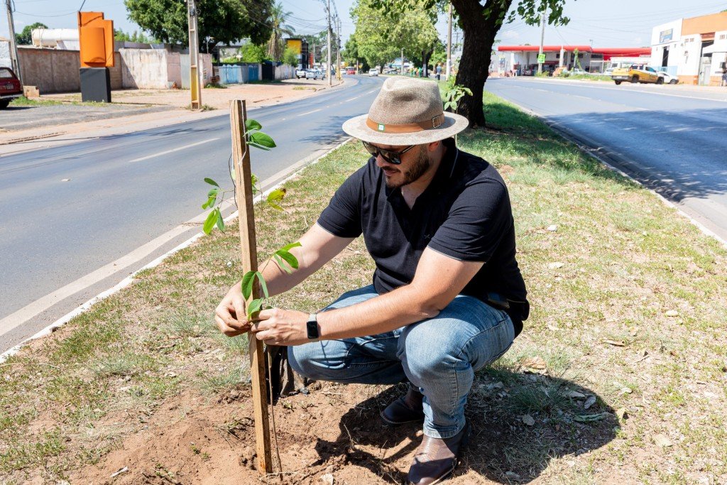 Cuiabá supera marca de mil árvores plantadas em outubro