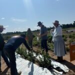 Entre sabores e natureza, turismo rural ganha novos caminhos em Sinop