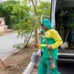 Prefeitura de Cuiabá planta 150 mudas de árvores no bairro Pedra 90