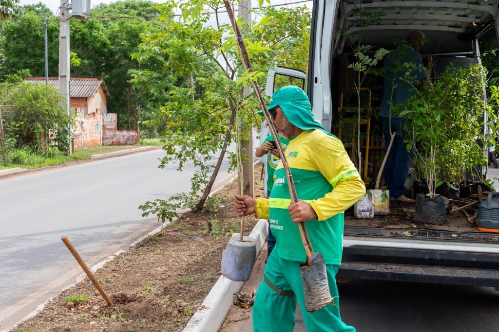 Prefeitura de Cuiabá planta 150 mudas de árvores no bairro Pedra 90