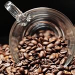 Ferrugem do café: como monitorar a doença no início das chuvas