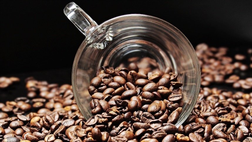 Ferrugem do café: como monitorar a doença no início das chuvas