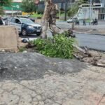 Jovem morre ao bater moto em árvore após sair do trabalho em Cuiabá
