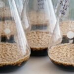 Bioinsumos movimentam R$ 6,2 bilhões no Brasil