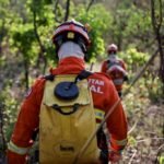 Corpo de Bombeiros combate três incêndios florestais neste domingo (11)