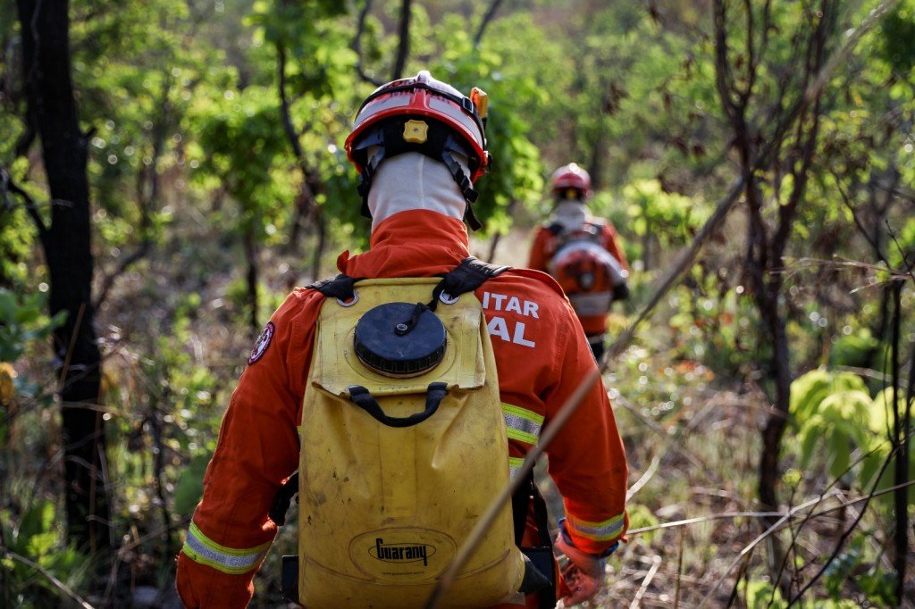 Corpo de Bombeiros combate três incêndios florestais neste domingo (11)