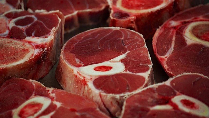 Exportações de carne bovina podem cair 36,73% em outubro