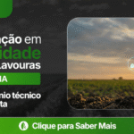Trigo fecha em baixa em Chicago com perspectivas para o Mar Negro e avanço do plantio nos EUA – MAIS SOJA