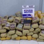 Polícia Militar apreende super maconha escondida em carga de milho e motorista é preso