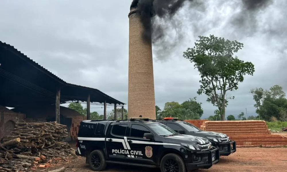 Polícia Civil incinera uma tonelada de drogas apreendidas na região de fronteira em MT
