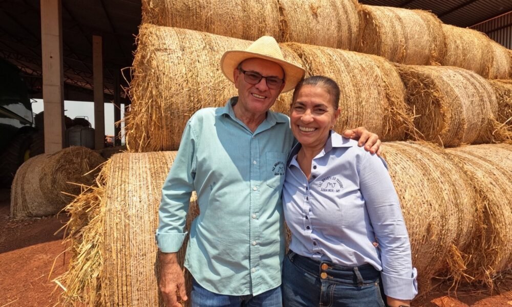 Fazenda no Vale do Araguaia aposta na integração entre lavoura e pecuária para ampliar resultados