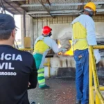 Polícia Civil incinera 220 quilos de entorpecentes apreendidos em operações em Alto Araguaia