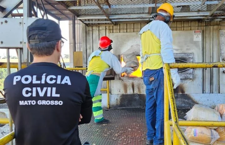 Polícia Civil incinera 220 quilos de entorpecentes apreendidos em operações em Alto Araguaia