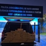 Polícia Civil localiza depósito de facção criminosa em mata e apreende 40 kg de drogas