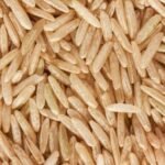 Emergência do arroz: como avaliar a uniformidade do estande